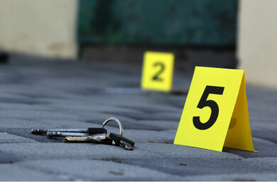 Road Crime Law