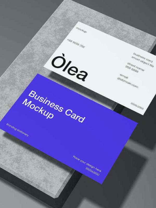 Business Planning